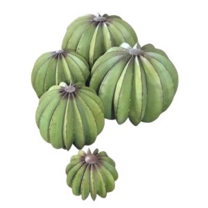 Lot de cactus décoratifs ronds en métal – Décoration cactus design